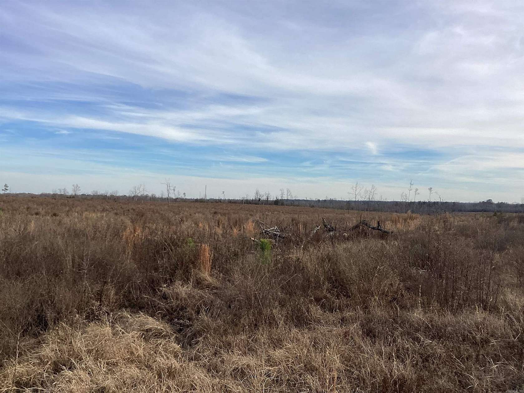 120 Acres of Recreational Land for Sale in Okolona, Arkansas