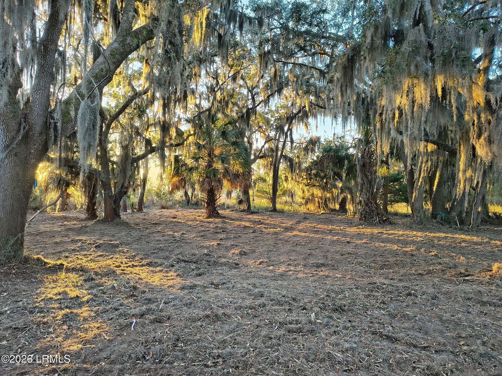 1.19 Acres of Residential Land for Sale in Beaufort, South Carolina