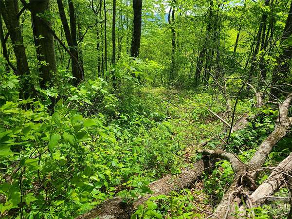 1 Acre of Land for Sale in Maggie Valley, North Carolina