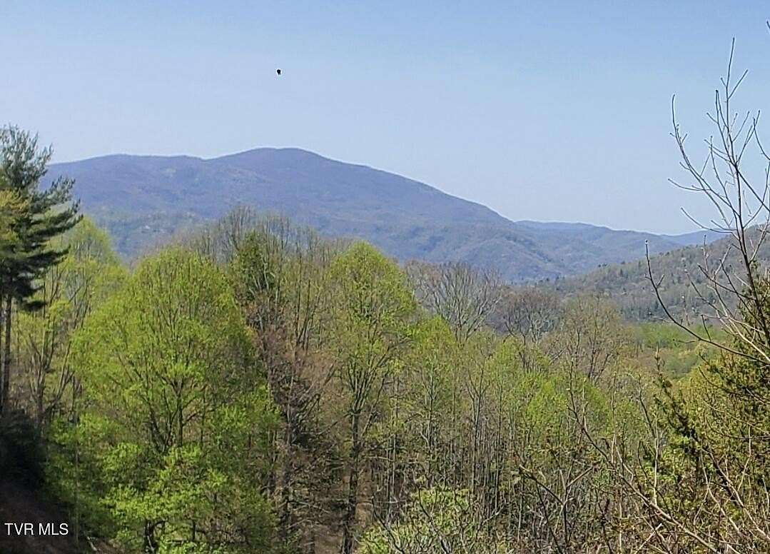 0.98 Acres of Residential Land for Sale in Roan Mountain, Tennessee