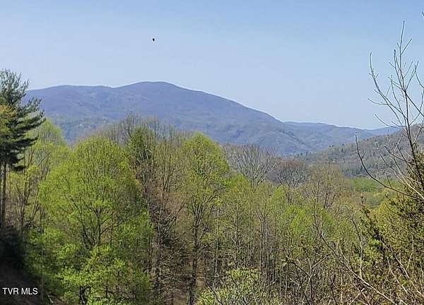 0.98 Acres of Residential Land for Sale in Roan Mountain, Tennessee