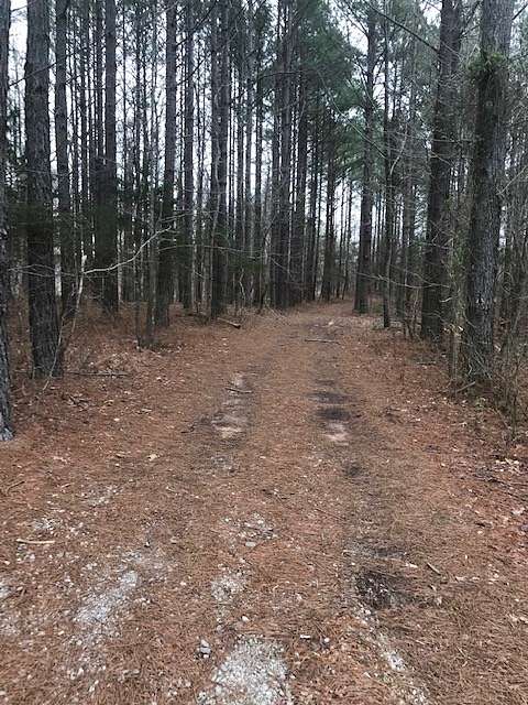 6.7 Acres of Residential Land for Sale in Smithville, Tennessee