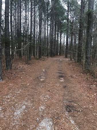 6.7 Acres of Residential Land for Sale in Smithville, Tennessee