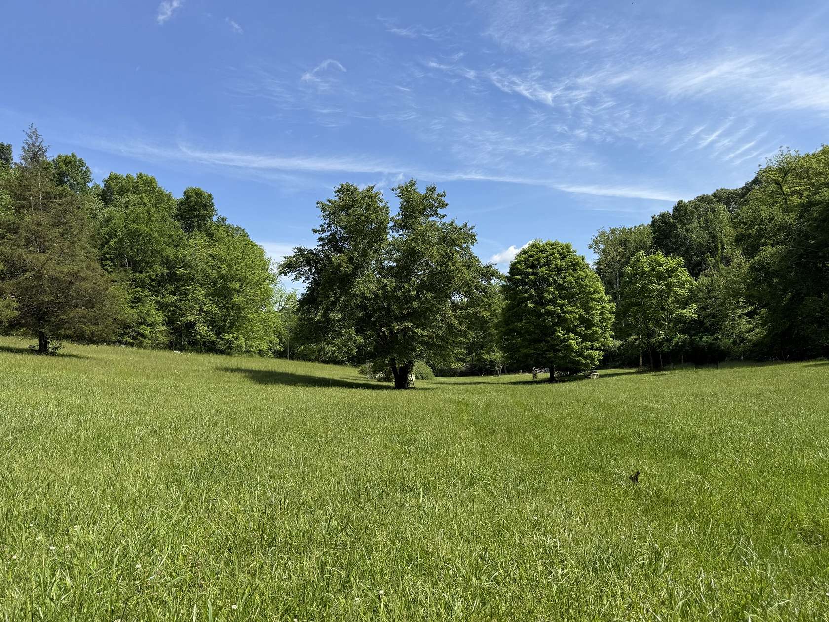 11.6 Acres of Land for Sale in Linden, Tennessee