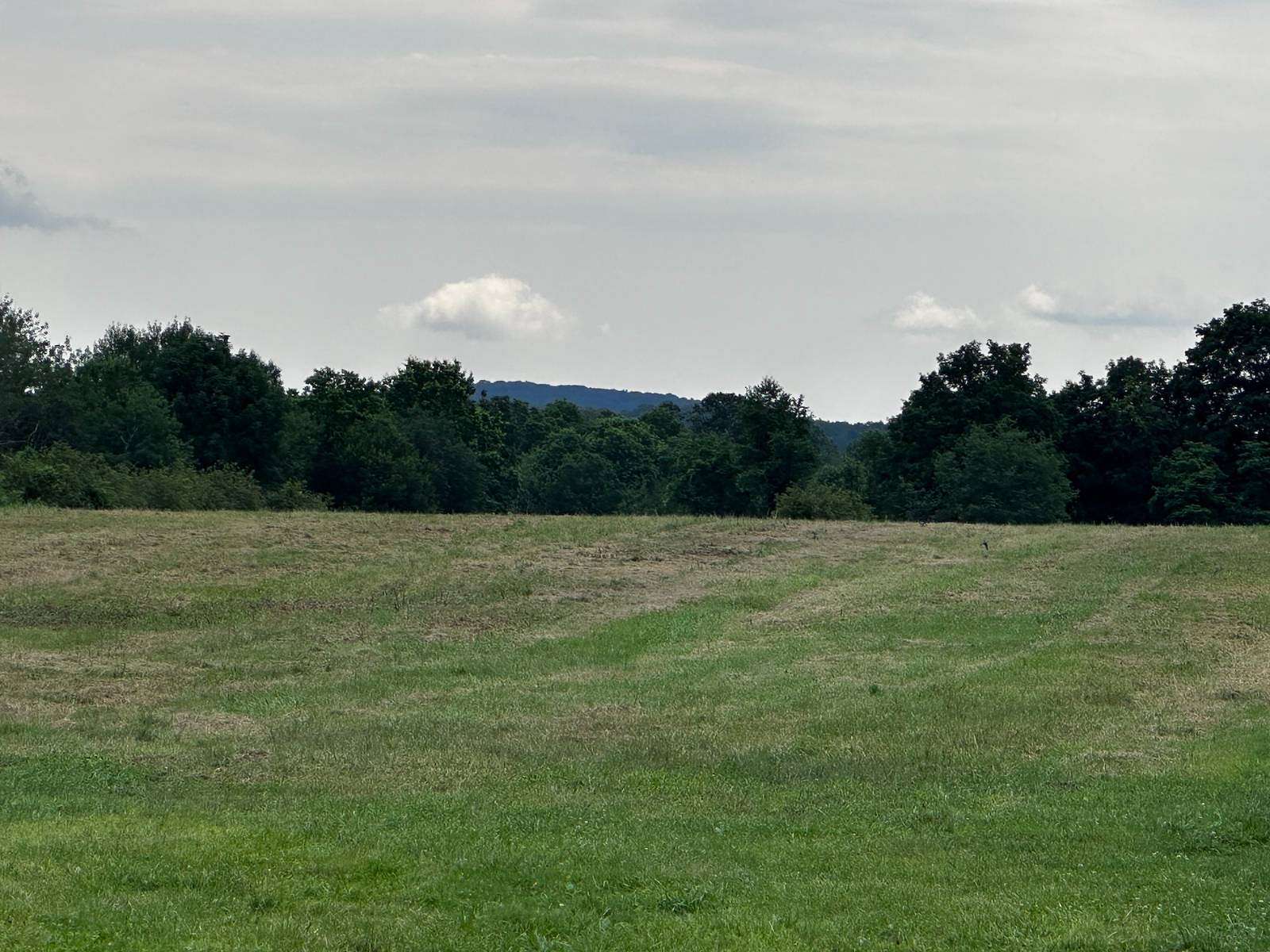 103 Acres of Land for Sale in Modena, New York