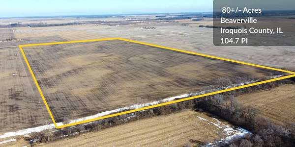 81.9 Acres of Agricultural Land for Sale in Beaverville, Illinois