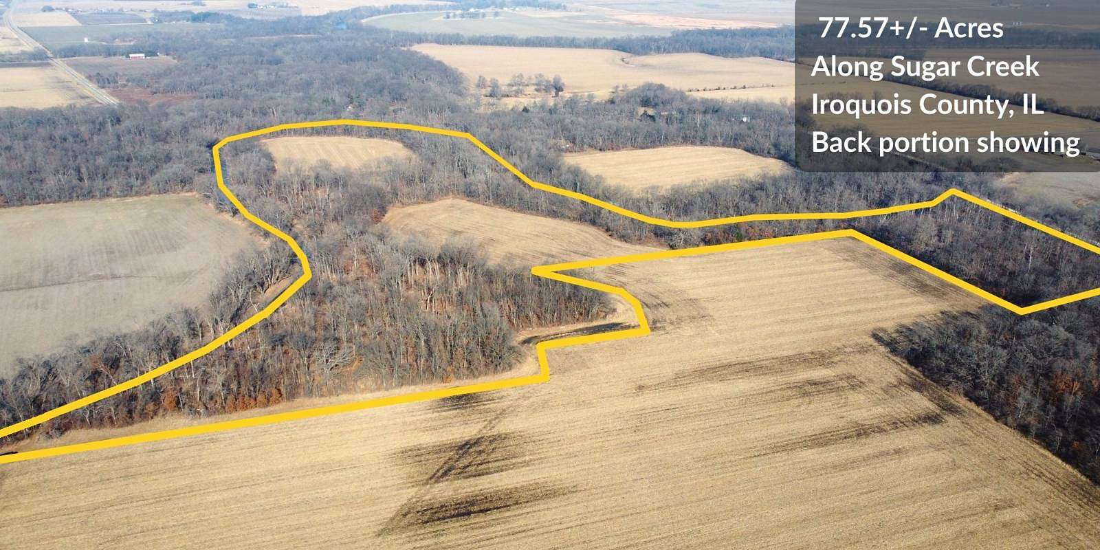 77.6 Acres of Land for Sale in Watseka, Illinois