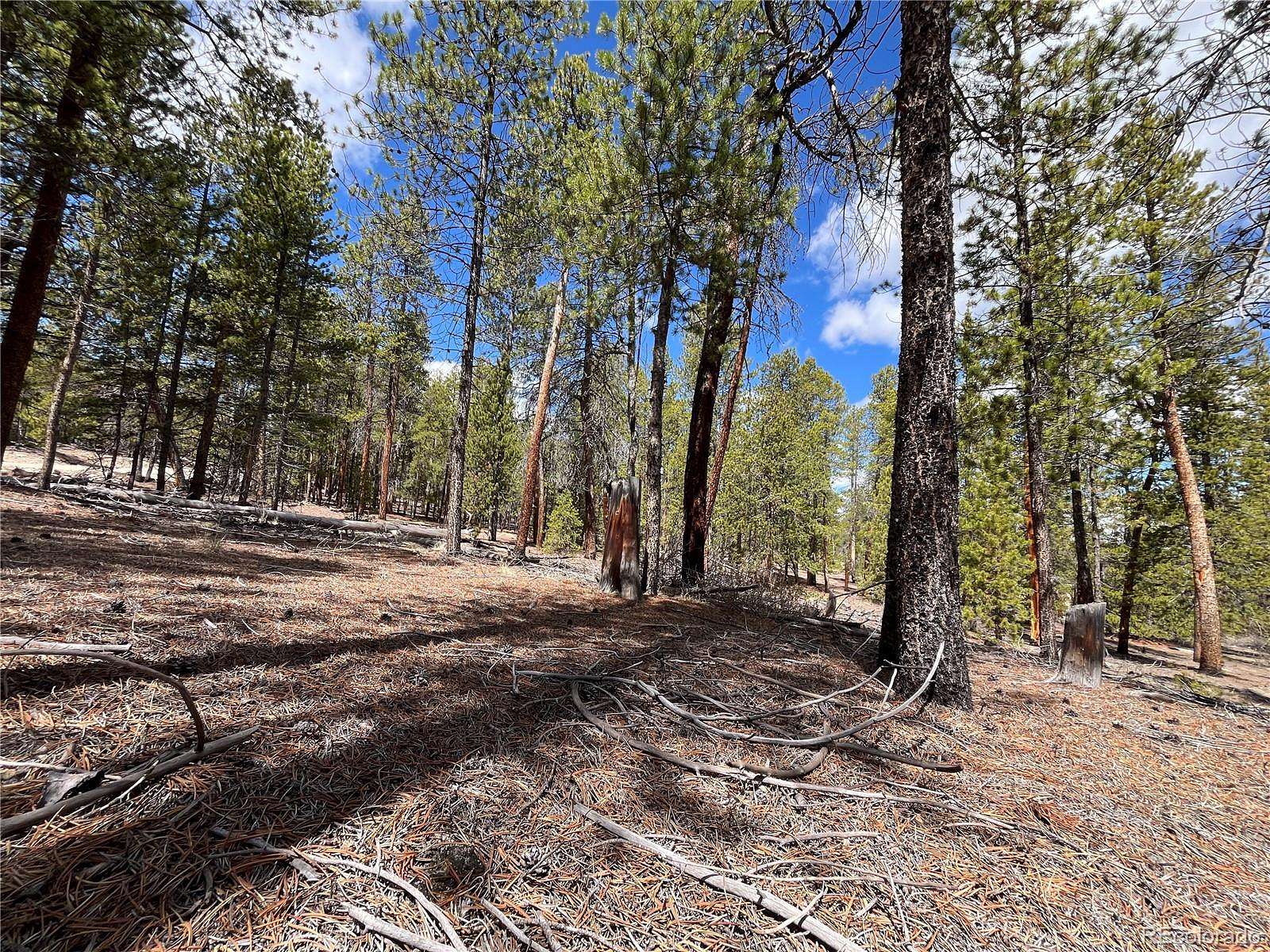 0.46 Acres of Residential Land for Sale in Twin Lakes, Colorado