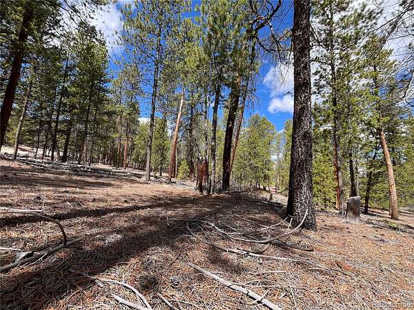0.46 Acres of Residential Land for Sale in Twin Lakes, Colorado