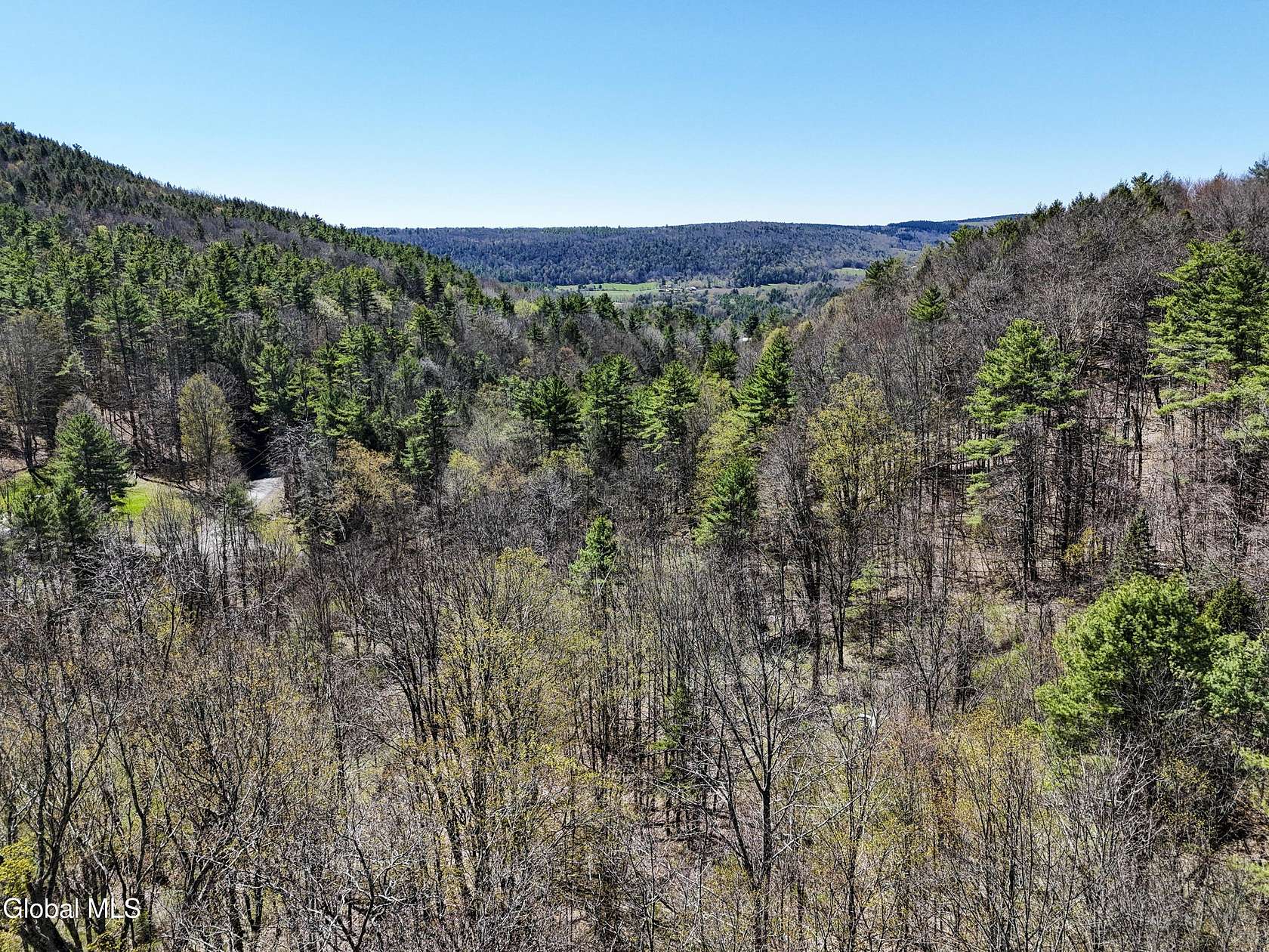 3 Acres of Land for Sale in Middleburgh, New York