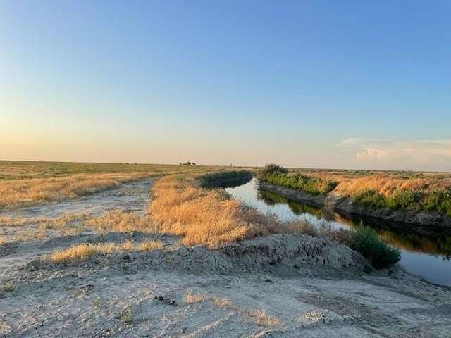 18.3 Acres of Agricultural Land for Sale in Corcoran, California