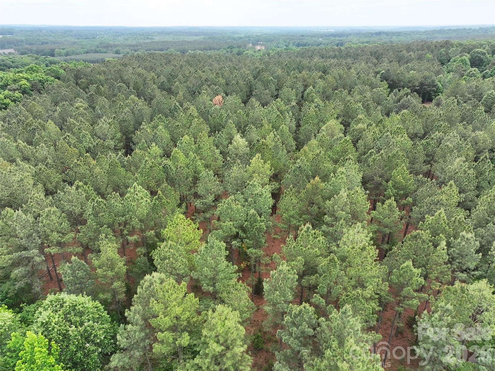 29.6 Acres of Recreational & Residential Land for Sale in Peachland, North Carolina