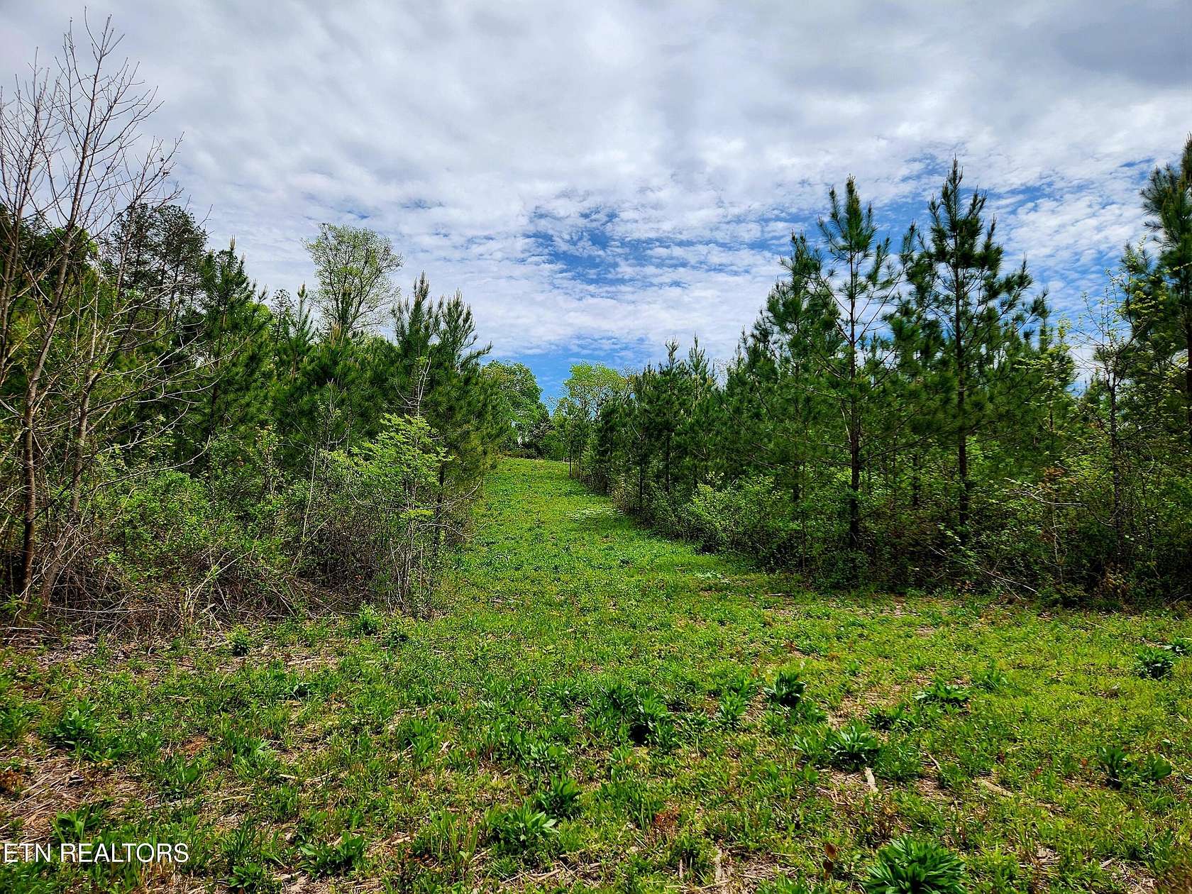 5.16 Acres of Residential Land for Sale in Madisonville, Tennessee