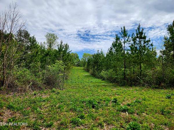 5.16 Acres of Residential Land for Sale in Madisonville, Tennessee