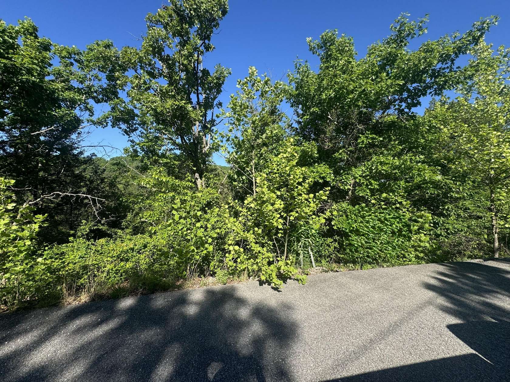 3.22 Acres of Residential Land for Sale in Hollister, Missouri