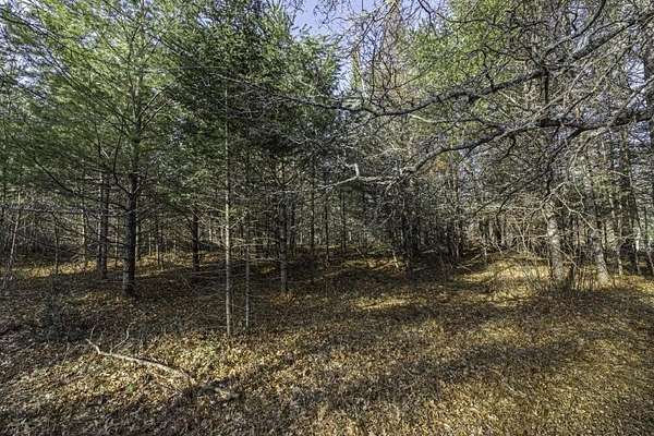 1.32 Acres of Commercial Land for Sale in Boulder Junction, Wisconsin