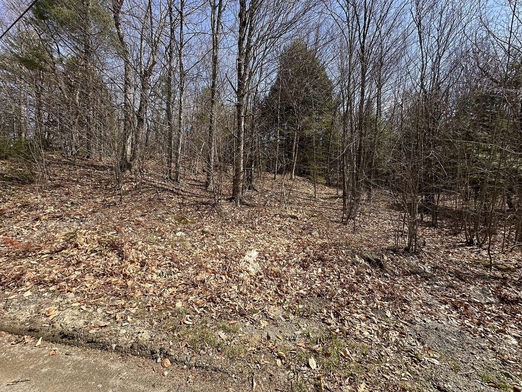 18.4 Acres of Land for Sale in New Sharon, Maine