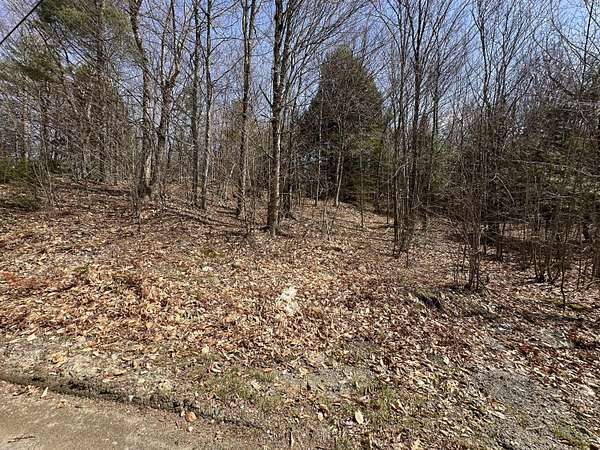 18.4 Acres of Land for Sale in New Sharon, Maine
