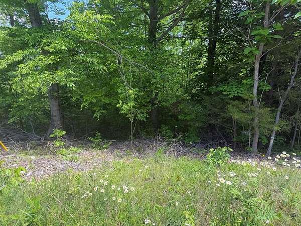 50.8 Acres of Recreational Land for Sale in Jamestown, Tennessee