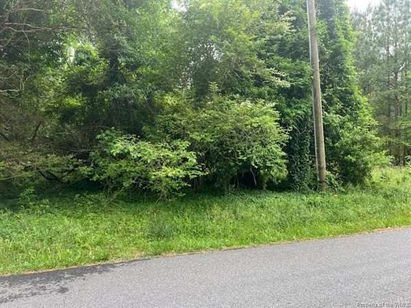 1 Acre of Residential Land for Sale in Claremont, Virginia