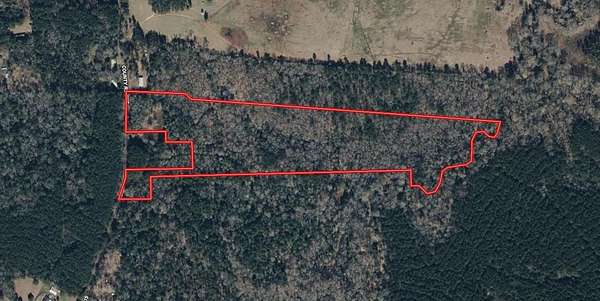 23.4 Acres of Recreational & Residential Land for Sale in Shelbyville, Texas