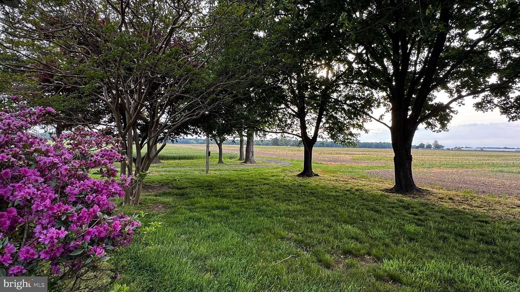 137 Acres of Agricultural Land with Home for Sale in Cordova, Maryland