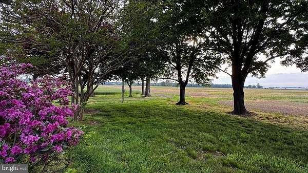 137 Acres of Agricultural Land with Home for Sale in Cordova, Maryland