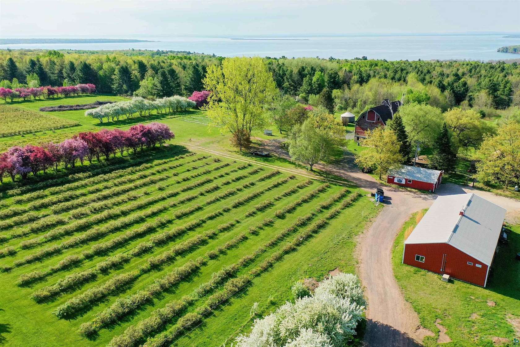 38 Acres of Land with Home for Sale in Bayfield, Wisconsin