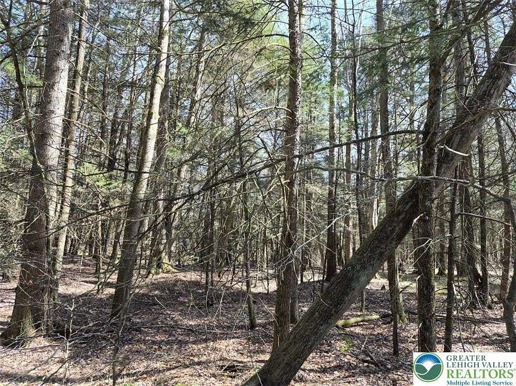 15 Acres of Recreational & Residential Land for Sale in Sterling Township, Pennsylvania