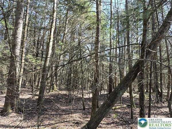 15 Acres of Recreational & Residential Land for Sale in Sterling Township, Pennsylvania