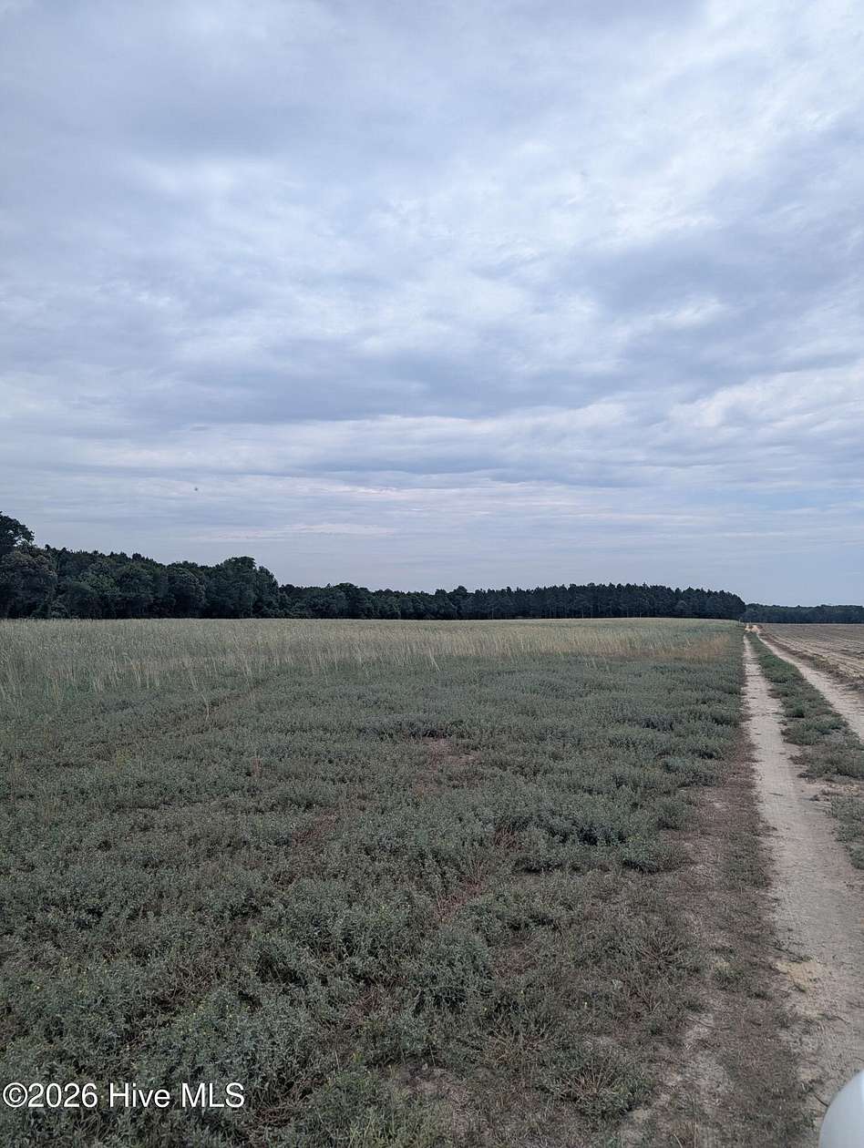 49 Acres of Recreational & Residential Land for Sale in Clinton, North Carolina
