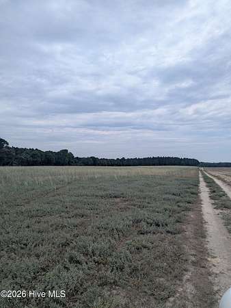 49 Acres of Recreational & Residential Land for Sale in Clinton, North Carolina