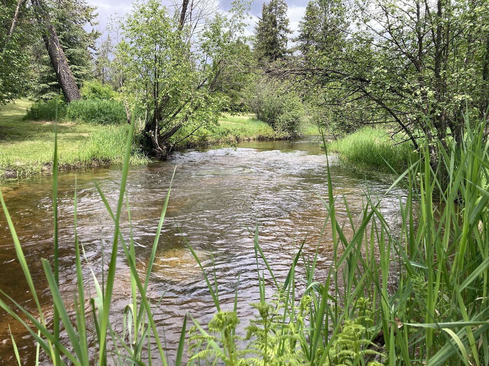4.65 Acres of Land for Sale in Colville, Washington