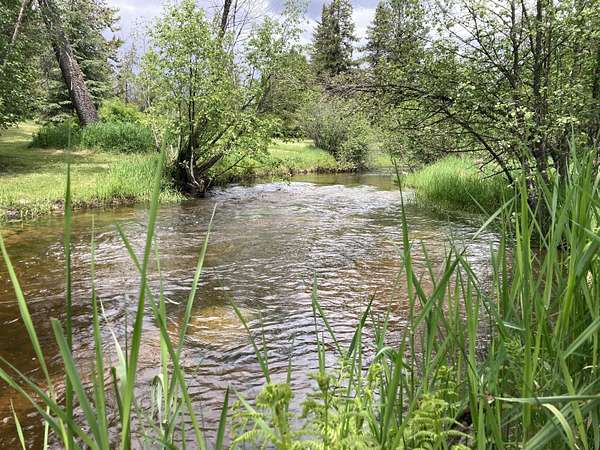 4.65 Acres of Land for Sale in Colville, Washington