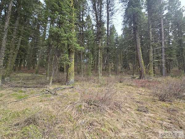 1 Acre of Land for Sale in Island Park, Idaho