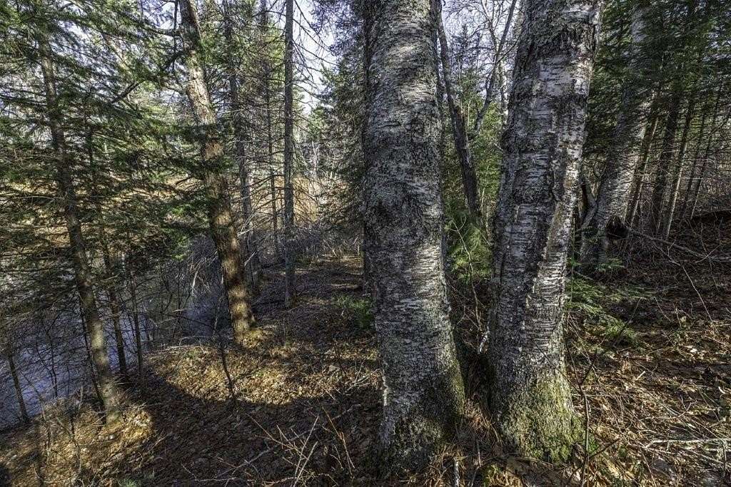 2.2 Acres of Mixed-Use Land for Sale in Boulder Junction, Wisconsin