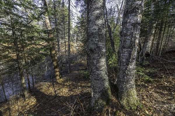 2.2 Acres of Mixed-Use Land for Sale in Boulder Junction, Wisconsin