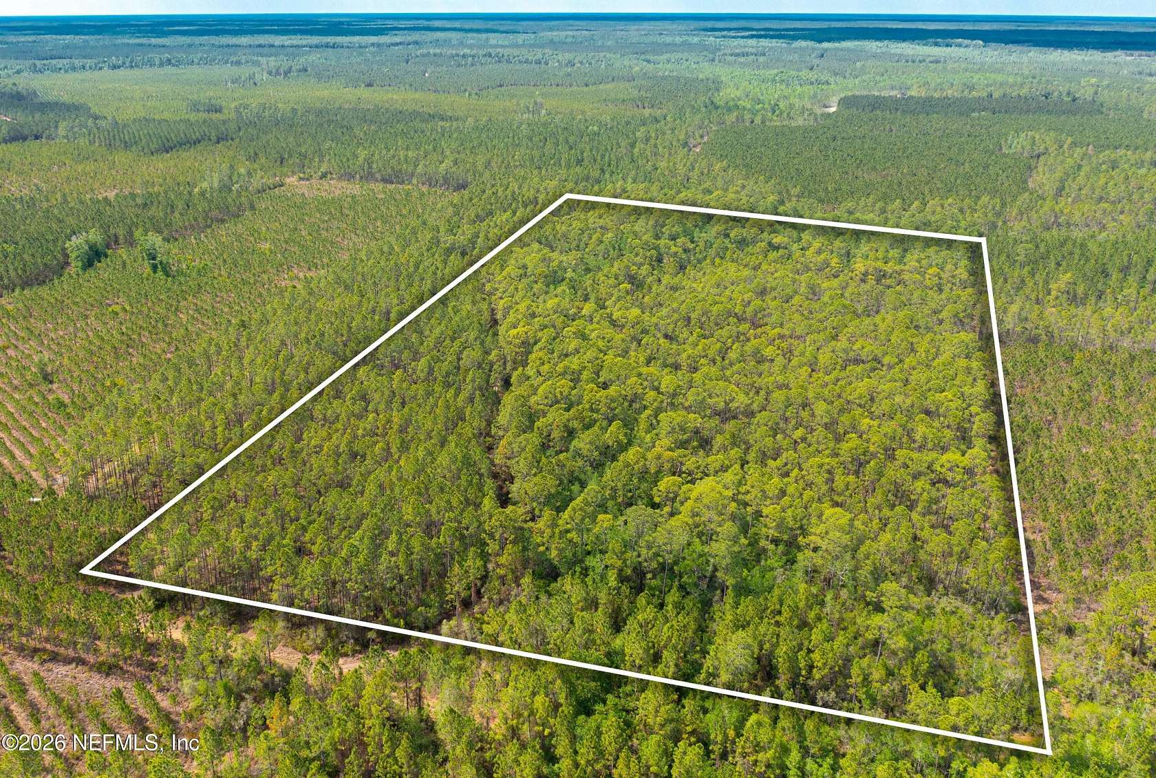 20 Acres of Agricultural Land for Sale in Sanderson, Florida