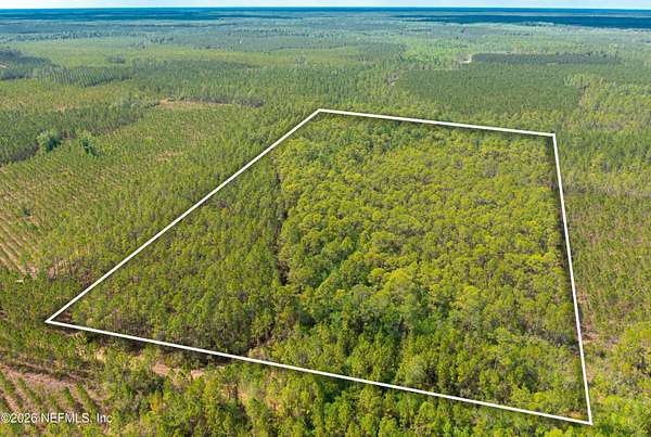 20 Acres of Agricultural Land for Sale in Sanderson, Florida