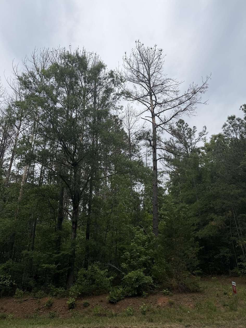 4.3 Acres of Residential Land for Sale in Edgefield, South Carolina