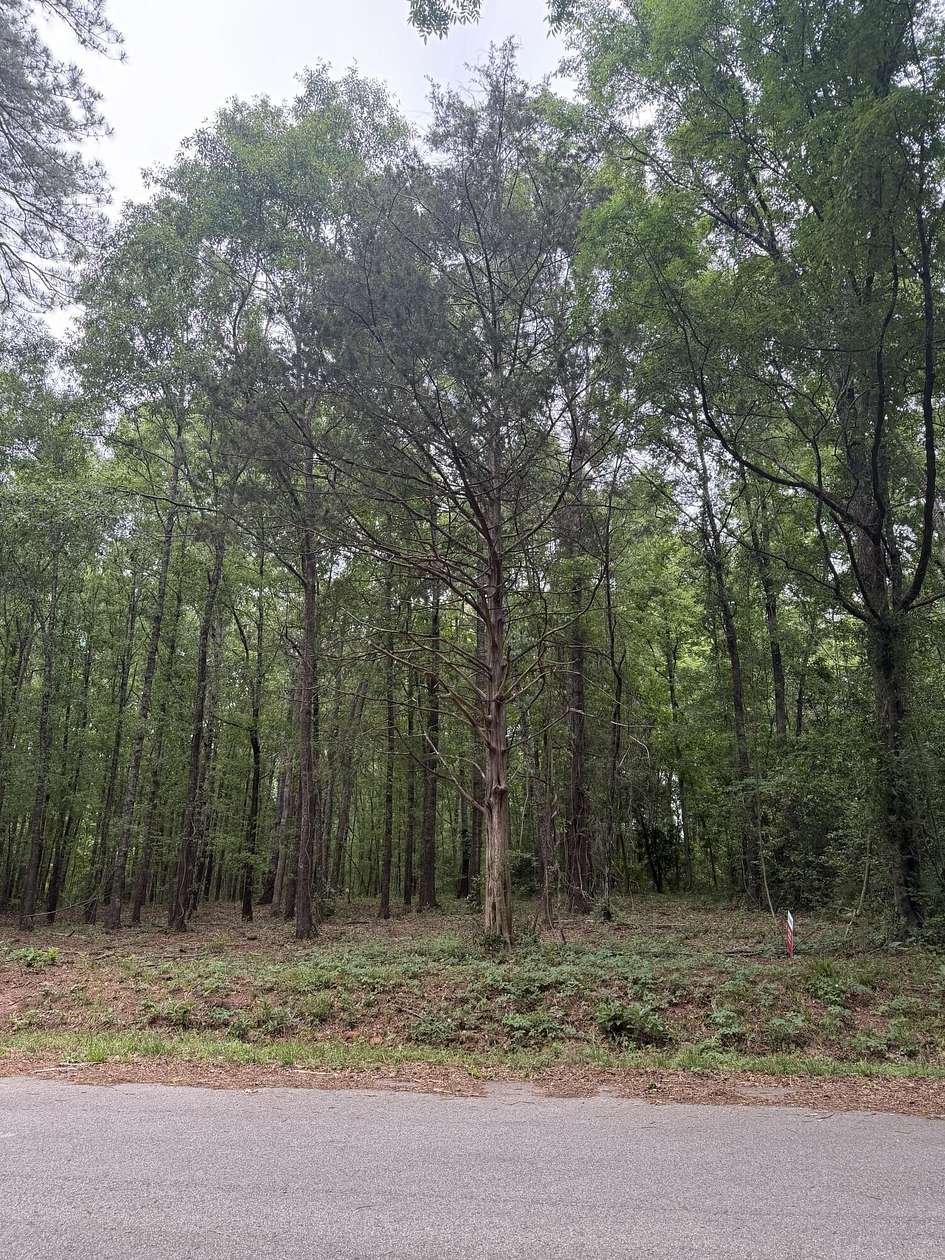 2.25 Acres of Residential Land for Sale in Edgefield, South Carolina