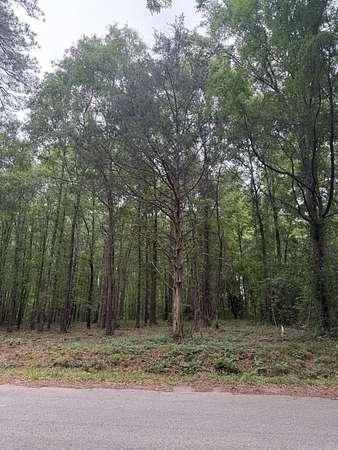 2.25 Acres of Residential Land for Sale in Edgefield, South Carolina