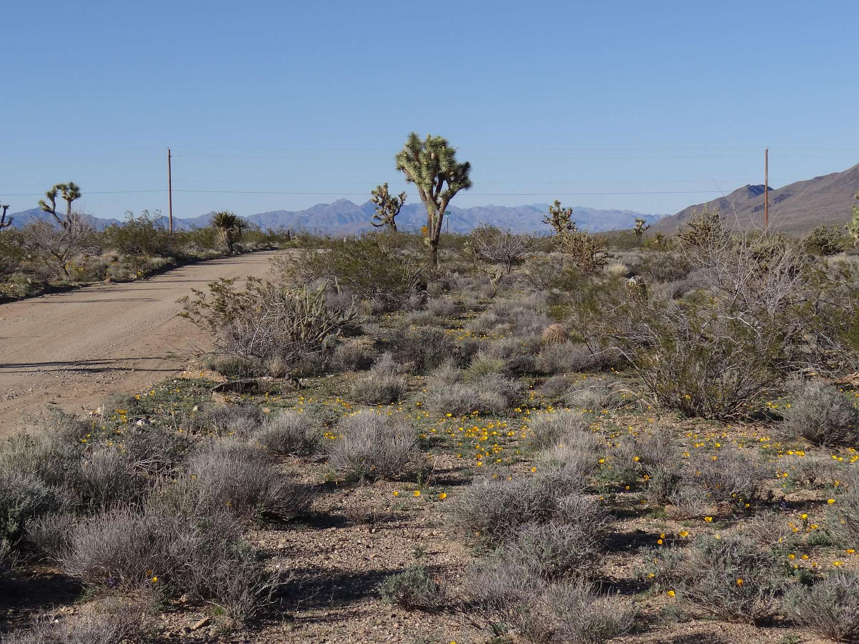 1 Acre of Residential Land for Sale in Meadview, Arizona