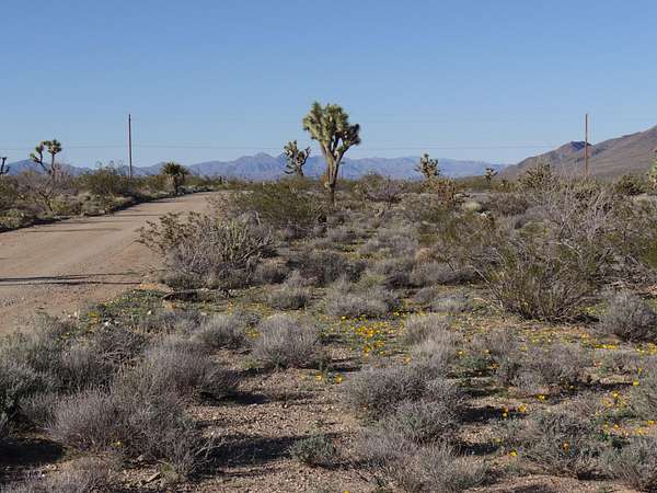 1 Acre of Residential Land for Sale in Meadview, Arizona