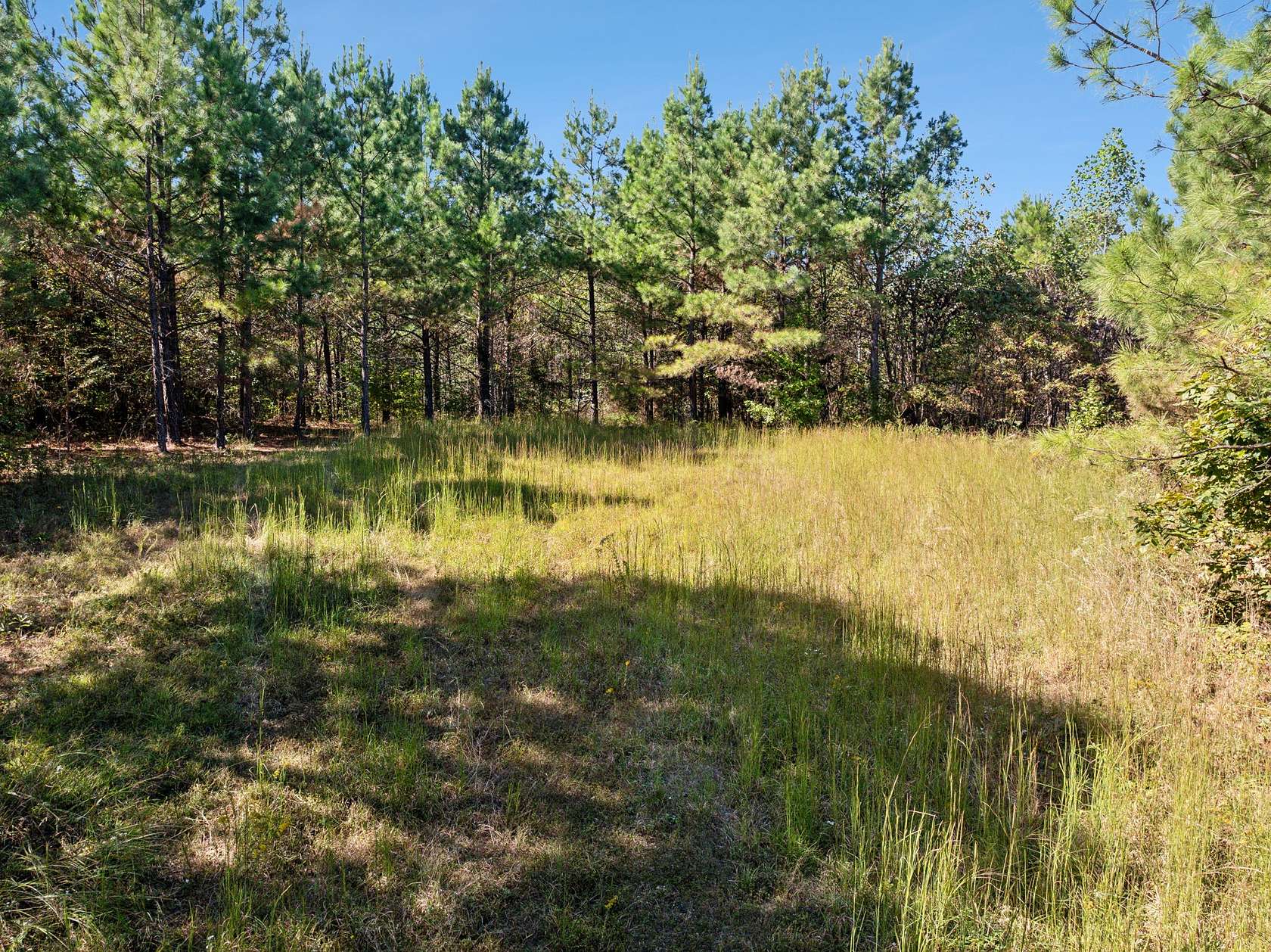 3.72 Acres of Residential Land for Sale in Dover, Tennessee