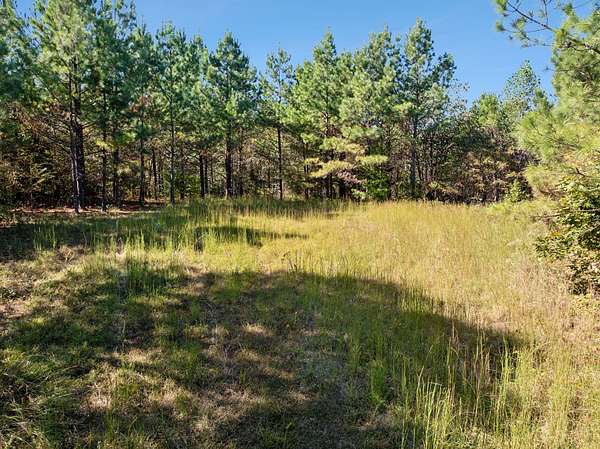 3.72 Acres of Residential Land for Sale in Dover, Tennessee