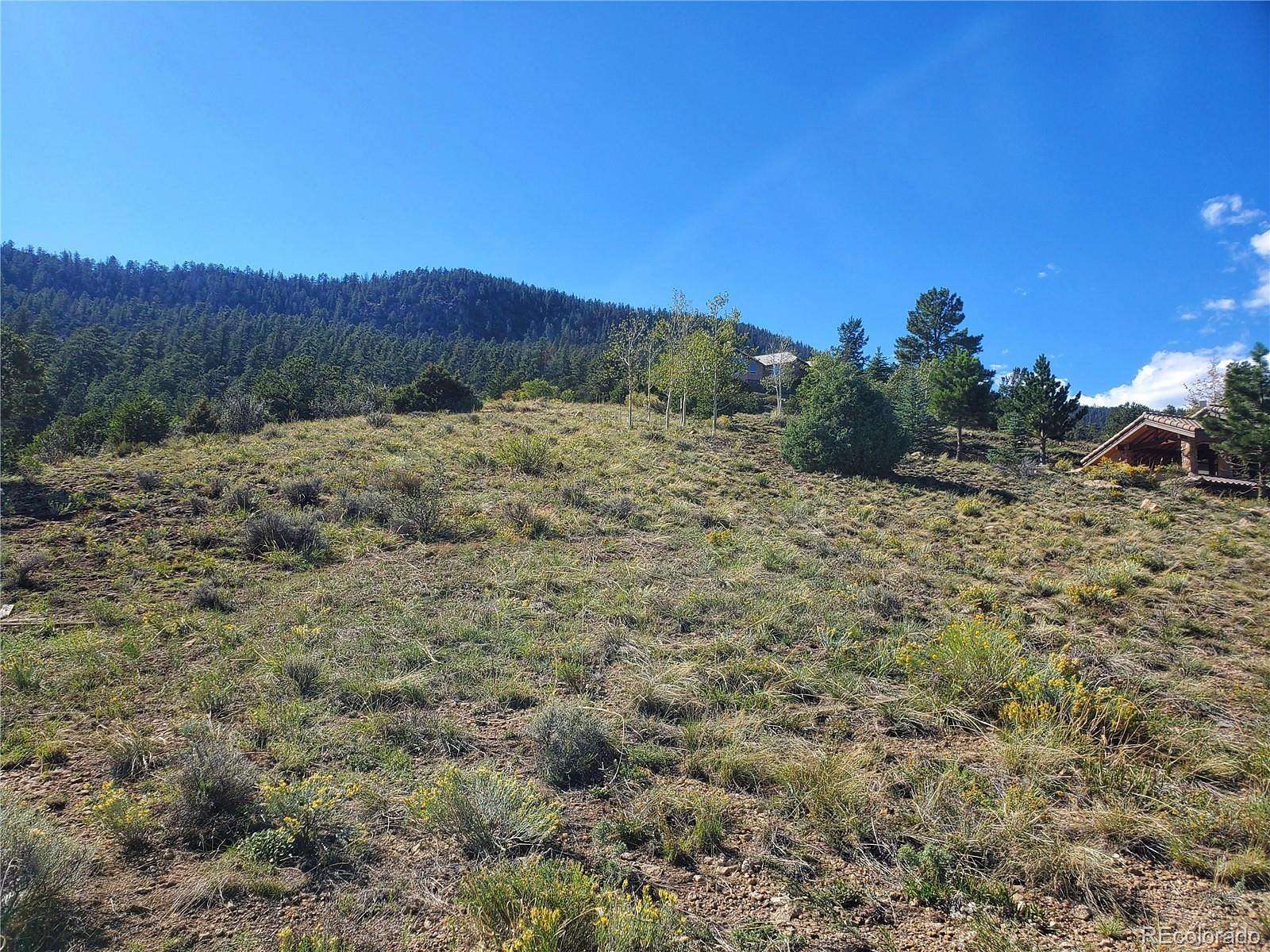 0.61 Acres of Residential Land for Sale in South Fork, Colorado