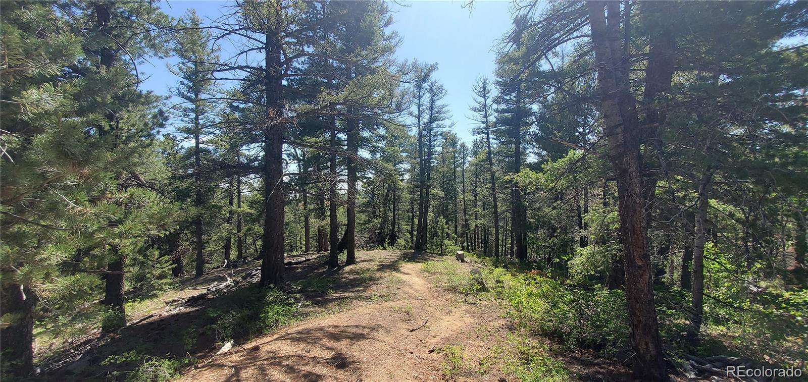 6.3 Acres of Residential Land for Sale in Fort Garland, Colorado