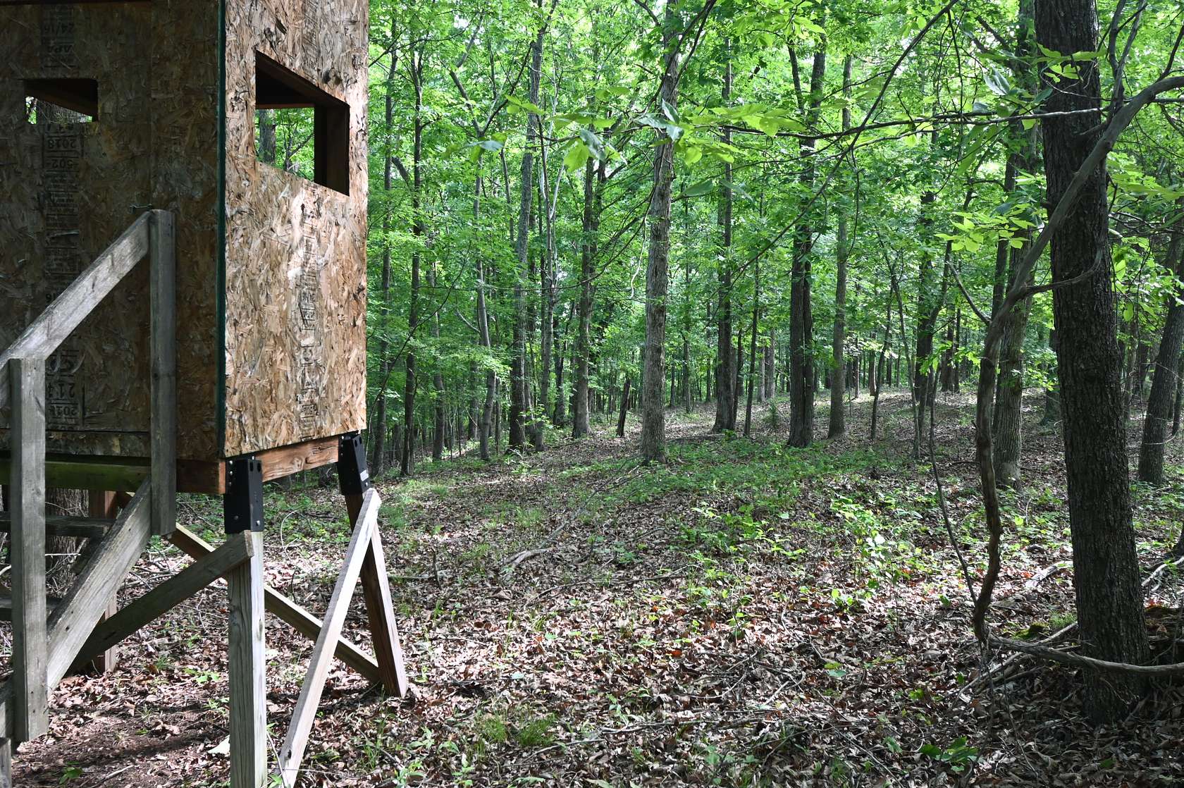 59.3 Acres of Land for Sale in Lobelville, Tennessee
