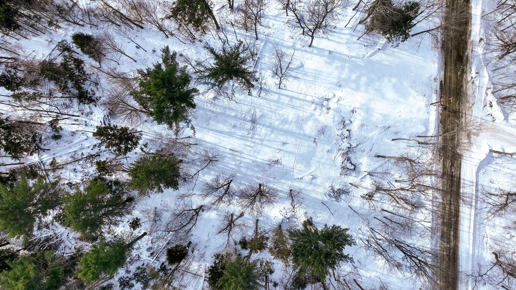 5 Acres of Land for Sale in Brooks, Maine